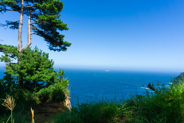 海岸沿いの風景