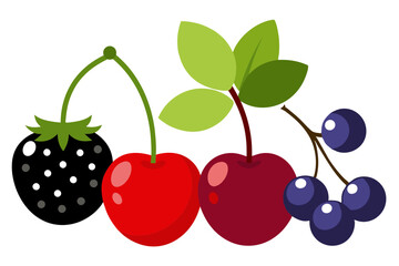 Fresh Summer Berries Collection- Cherry, Black Currant, Raspberry, Blueberry & More