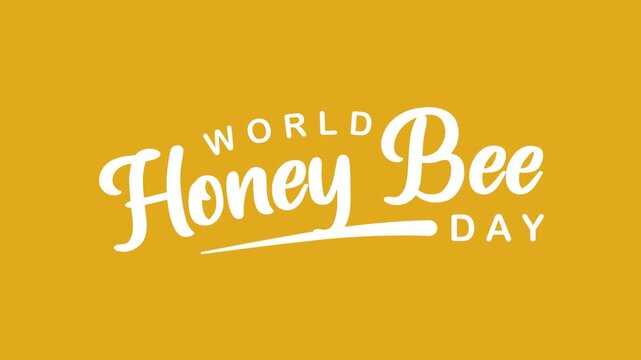 World Honey Bee Day Text Animation. Great for World Honey Bee Day Celebrations with transparent background, for banner, social media feed wallpaper stories