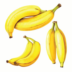 watercolor painting of banana