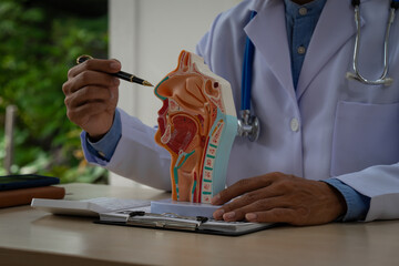 A male doctor sits at the table, explaining the respiratory and digestive systems, highlighting the...