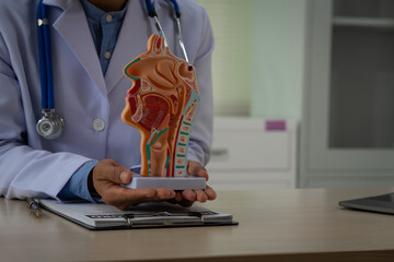 A male doctor sits at the table, explaining the respiratory and digestive systems, highlighting the...