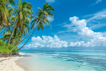 Serene Tropical Beach