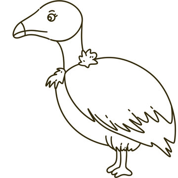 recommend clip art: vulture