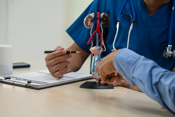 A male doctor sits and works at the table, explaining the urinary system and penile health to...