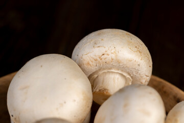 fresh, not cooked mushrooms, white champignons