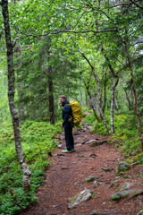 Obraz premium male hiker in the forest of Isfjorden Norway on a rainy day