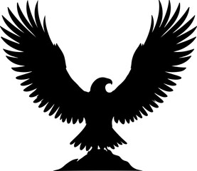 eagle  illustration