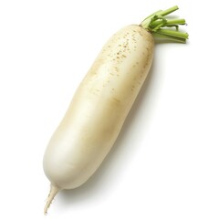 Fresh White Radish with Green Top.