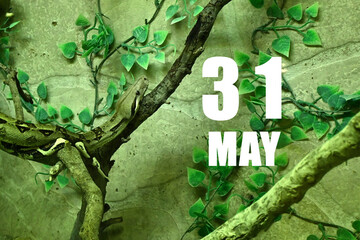 Calendar date on light green background with snake crawling on tree branch. May 31 is the thirty-first day of the month