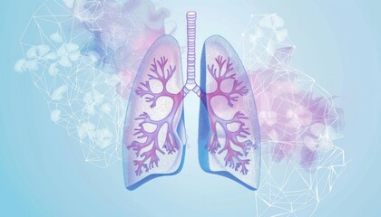 Human lungs showing bronchial tree for medical use illustration