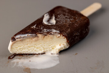 delicious creamy ice cream in chocolate glaze on a plate