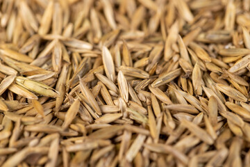 mixed seeds of perennial and annual grass for lawn