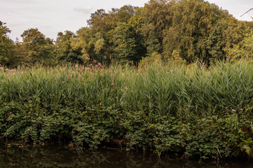 das Dorf Gemen im Münsterland
