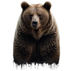 Grizzly bear head isolated - Generative AI