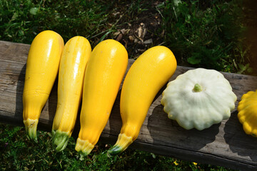 a white pattypan squash with yellow zucchini on a wooden board