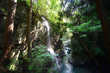付知峡　滝