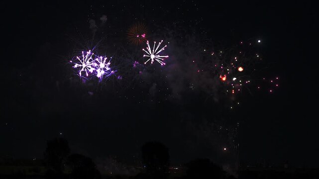 [納涼花火大会] いたばし花火大会