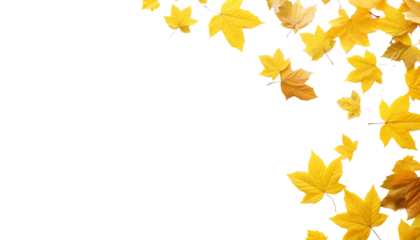 autumn leaves frame isolated on transparent background cutout
