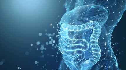 Abstract Illustration of Digestive System