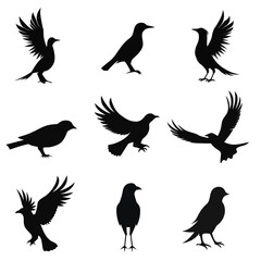 Bird's silhouettes vector illustration on a white background