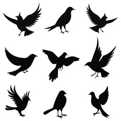 Bird's silhouettes vector illustration on a white background