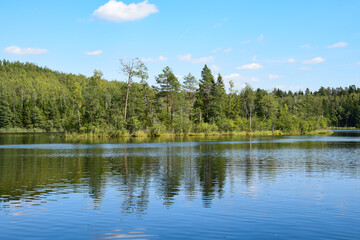 Obraz premium lake and forest