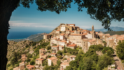 Obraz premium The iconic perched mountain village of Speloncato in the Balagne region of Corsica on a bright sunny day framed by a tree