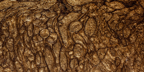 Quirky and Playful Technicolor Wonderland with a Burst of Colors and Abstract Geometric Shapes