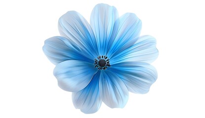 Blue Flower with White Background