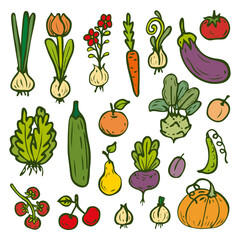 Set vegetables fruits flowers from garden hand drawn flat. Farm grown products, plants, roots. Vector line art illustration.