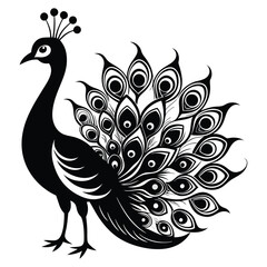 Peacock Birds silhouette vector illustration on white background