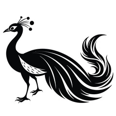 Peacock Birds silhouette vector illustration on white background