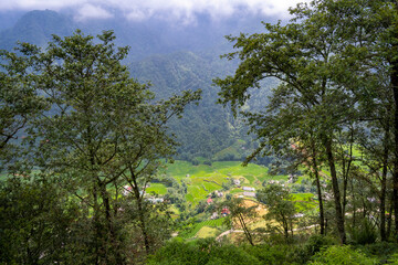 Vallées fertiles région de Sapa, Vietnam
