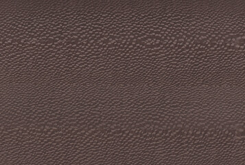 Fototapeta premium Wood texture background, wood planks. Grunge wood, painted wooden wall pattern.