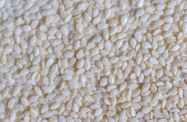 Macro of White Sesame Seed or Gingelly in Horizontal Orientation, Also Known as Simsim