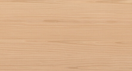 Realistic Oak Wood Textures - Perfect for Natural and Rustic Design Projects with High Detail