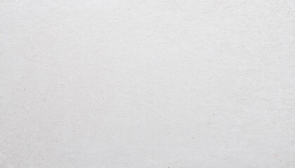 Fototapeta premium White recycle craft paper cardboard surface texture background 