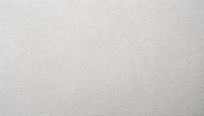 Fototapeta premium White recycle craft paper cardboard surface texture background 