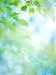 blue sky through green leaves of trees