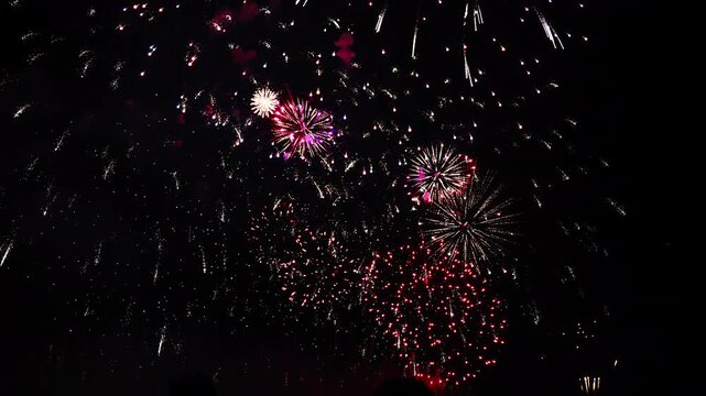 [納涼花火大会] いたばし花火大会