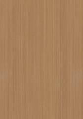 Realistic Oak Wood Textures - Perfect for Natural and Rustic Design Projects with High Detail
