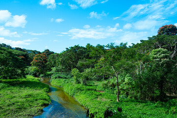 Fototapeta premium River in Fiji 