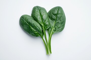 Fresh Spinach Macro Shot