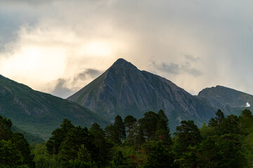 trail in Andalsnes Isfjorden fjord in Norway in the woods on summer evening