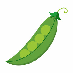 Peas art vector illustration