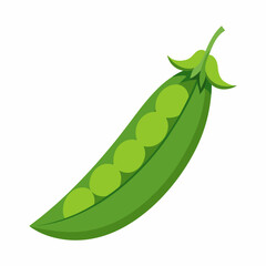 Peas art vector illustration