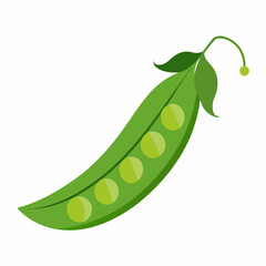 Peas art vector illustration
