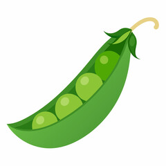 Peas art vector illustration