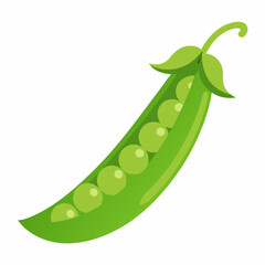 Peas art vector illustration